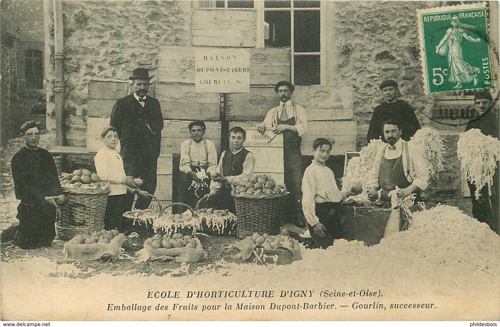 ESSONNE  IGNY école D'horticulture  EMBALLAGE DES FRUITS - Igny