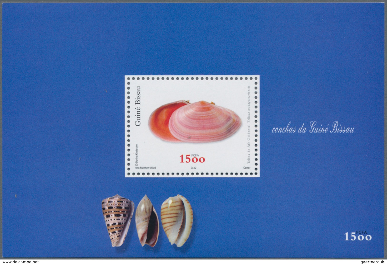 Guinea-Bissau: 2002, SHELLS, Complete Set Of Four In Miniature Sheets With 20 Stamps Each, In An Inv - Guinea-Bissau