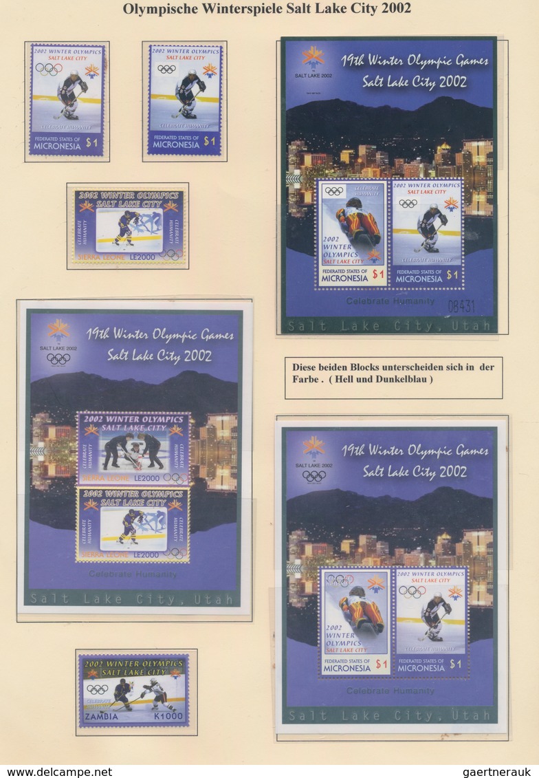 Thematik: Sport-Hockey / sport -hockey: 1878/2014, Ice Hockey, extensive collection in 15 big albums