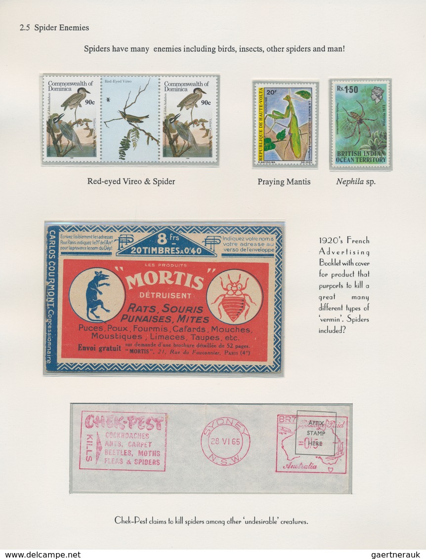 Thematik: Tiere-Insekten / Animals-insects: 1880/2000 (ca.), SPIDERS, Balance Of Stamps And Covers, - Andere & Zonder Classificatie