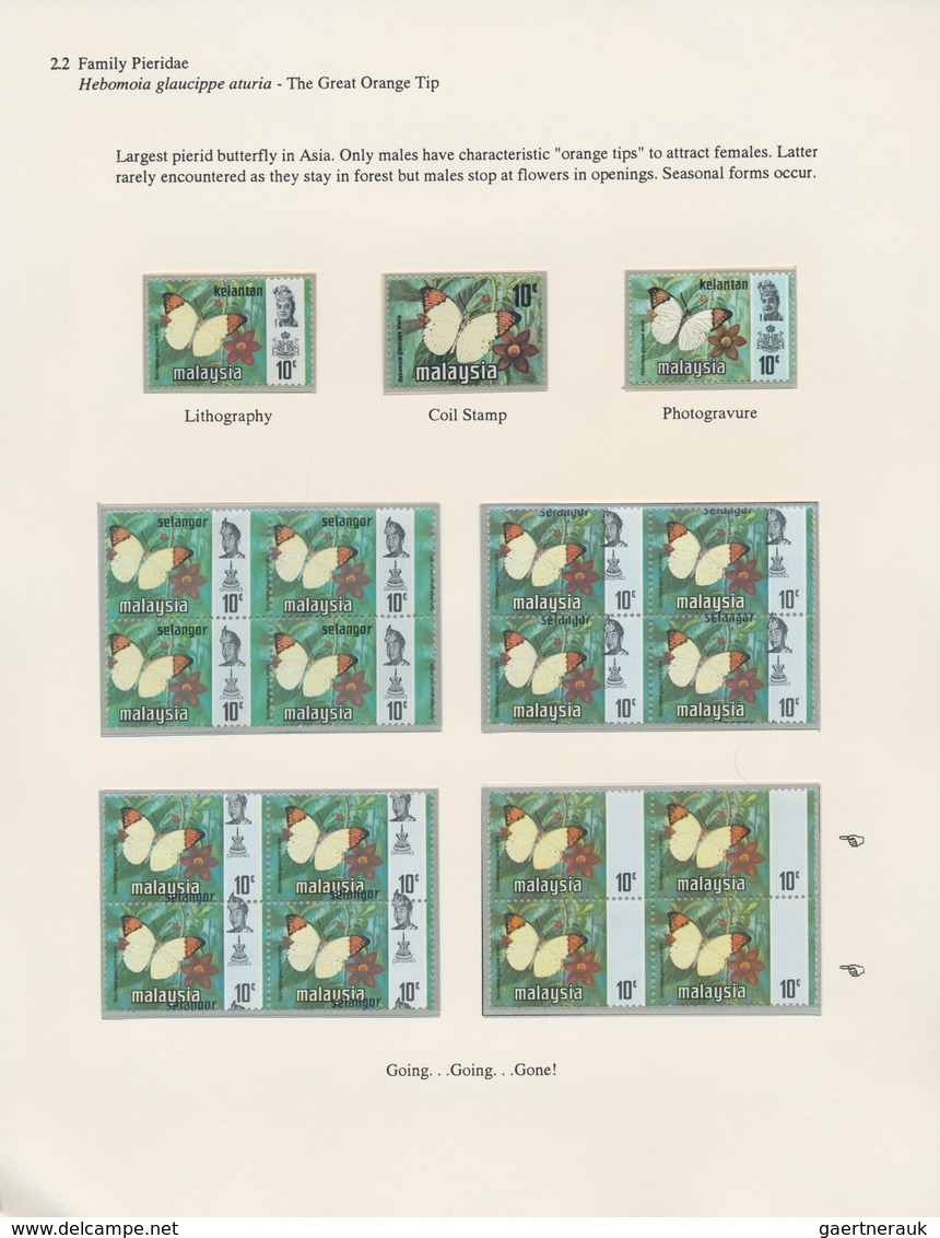 Thematik: Tiere-Schmetterlinge / animals-butterflies: 1645/1990 (ca.), extraordinary exhibit on appr