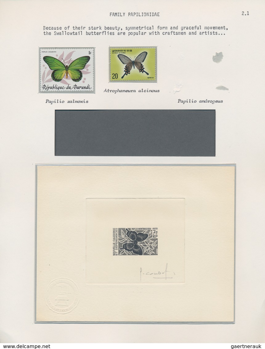 Thematik: Tiere-Schmetterlinge / animals-butterflies: 1645/1990 (ca.), extraordinary exhibit on appr