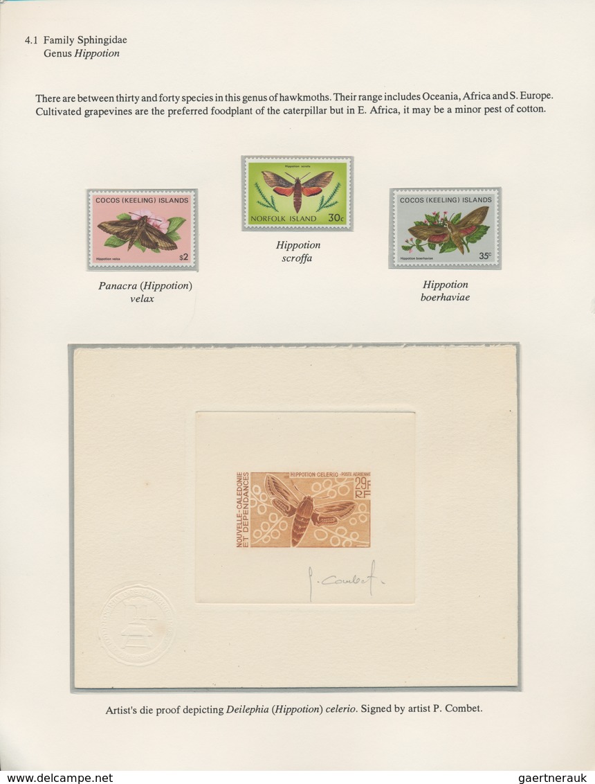 Thematik: Tiere-Schmetterlinge / animals-butterflies: 1645/1990 (ca.), extraordinary exhibit on appr