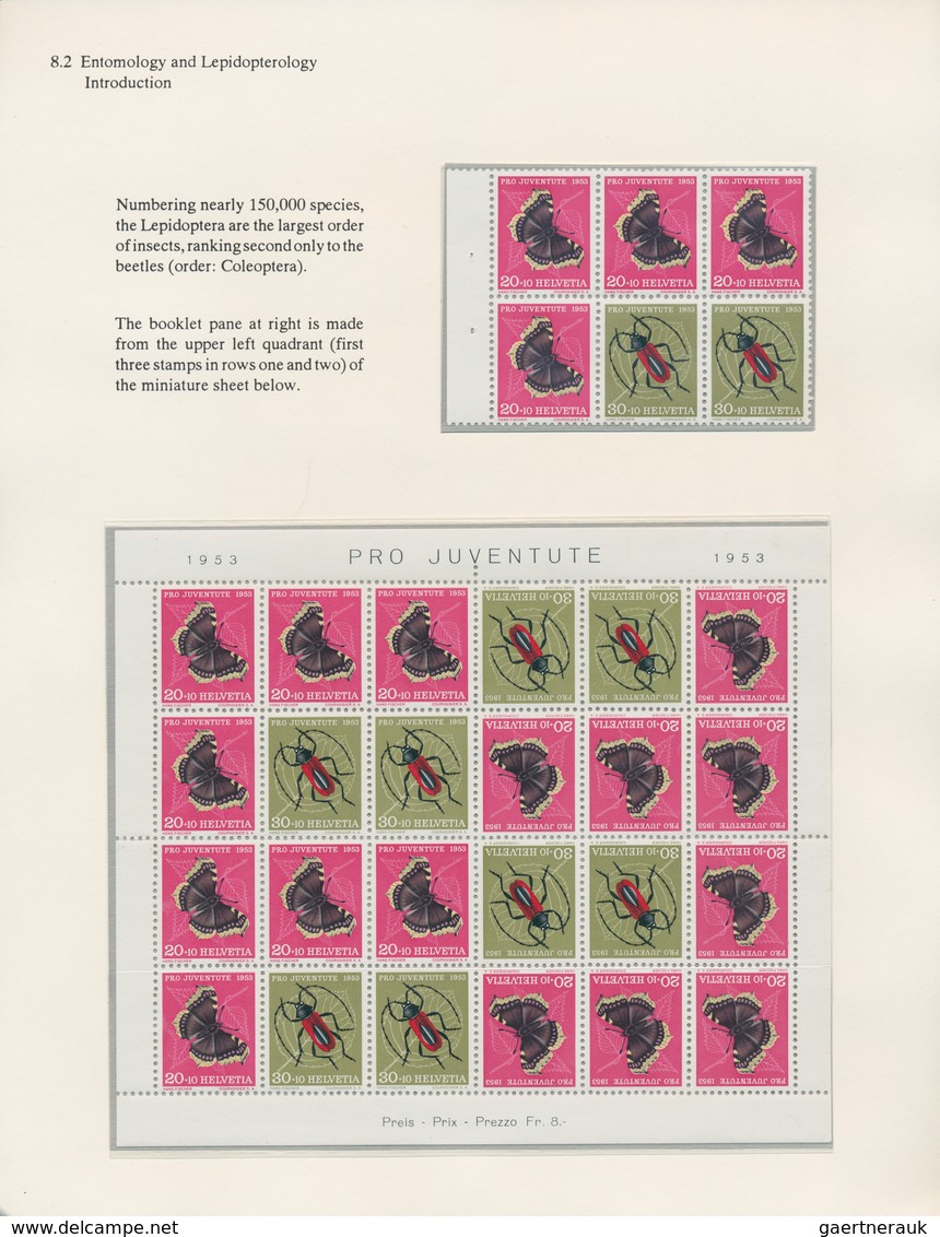 Thematik: Tiere-Schmetterlinge / animals-butterflies: 1645/1990 (ca.), extraordinary exhibit on appr