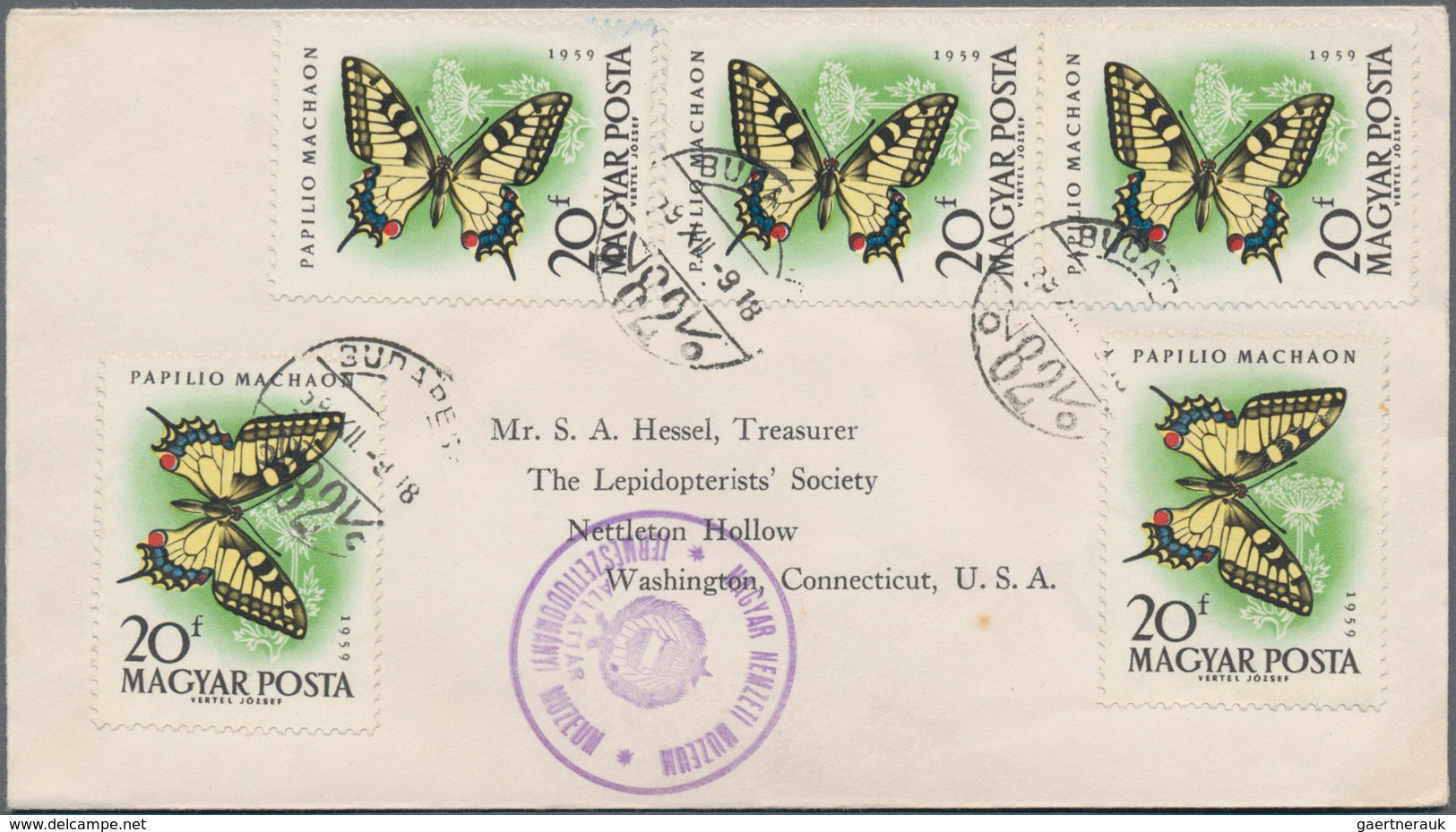 Thematik: Tiere-Schmetterlinge / animals-butterflies: 1870/2000 (ca.), sophisticated holding of appr