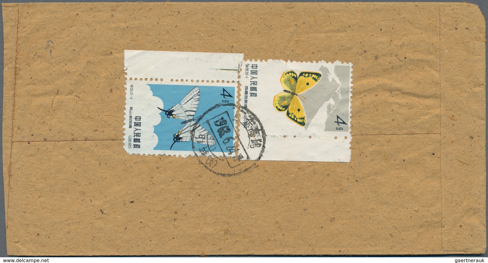 Thematik: Tiere-Schmetterlinge / animals-butterflies: 1870/2000 (ca.), sophisticated holding of appr