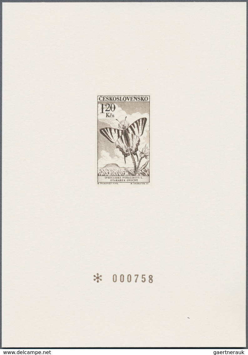 Thematik: Tiere-Schmetterlinge / animals-butterflies: 1870/2000 (ca.), sophisticated holding of appr
