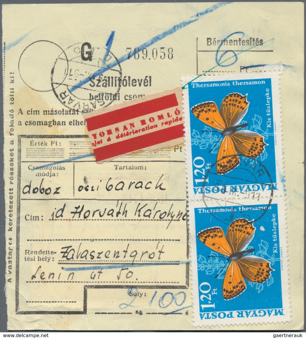 Thematik: Tiere-Schmetterlinge / animals-butterflies: 1870/2000 (ca.), sophisticated holding of appr