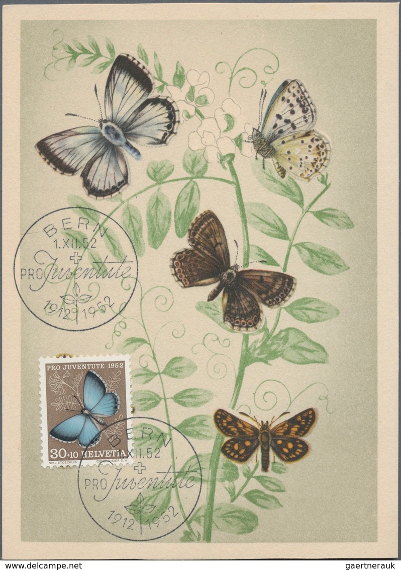 Thematik: Tiere-Schmetterlinge / animals-butterflies: 1890/2000 (ca.), holding of apprx. 550 themati