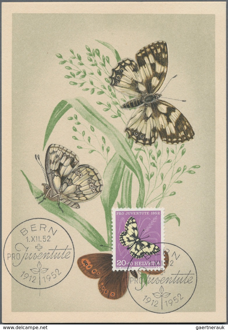 Thematik: Tiere-Schmetterlinge / animals-butterflies: 1890/2000 (ca.), holding of apprx. 550 themati