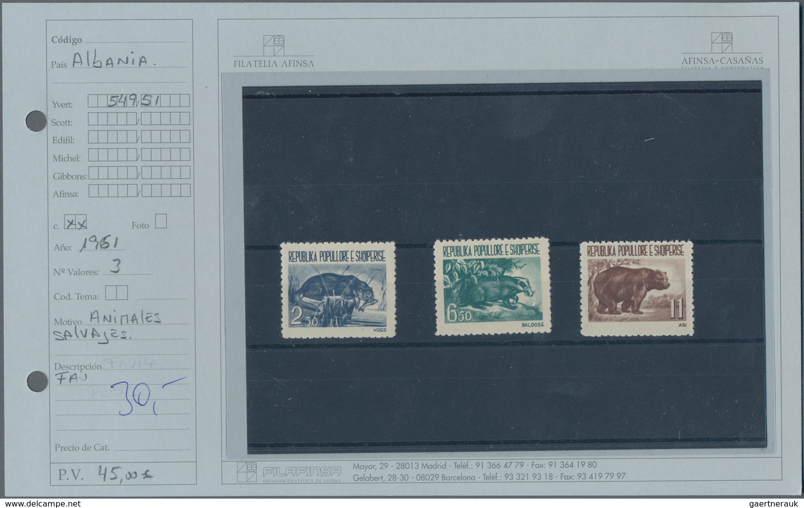 Albanien: 1922/1994, collection/accumulation on stockcards sorted by years, mostly mint never hinged