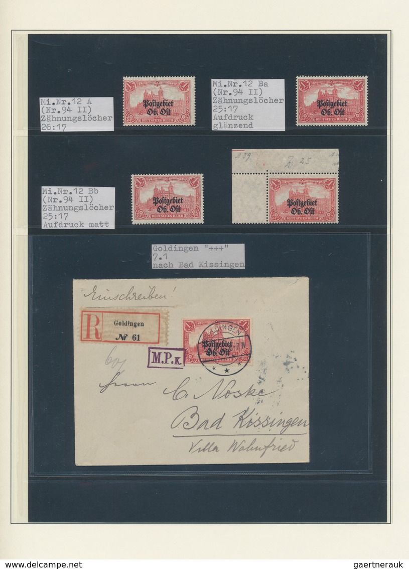 Lettland: 1862/1919, Collection Of Related Areas In A Binder, Comprising A Nice Section Wenden Local - Letland