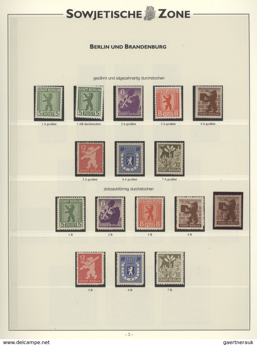 Sowjetische Zone: 1945 - 1949, Sammlung, Zumeist Postfrisch Im Sieger-Vordruck Der Verschiedenen Geb - Andere & Zonder Classificatie