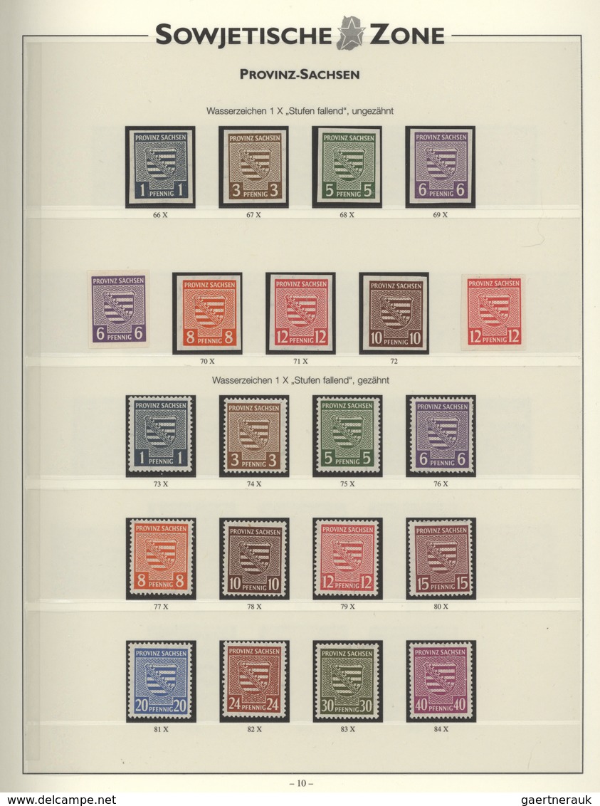 Sowjetische Zone: 1945 - 1949, Sammlung, Zumeist Postfrisch Im Sieger-Vordruck Der Verschiedenen Geb - Andere & Zonder Classificatie