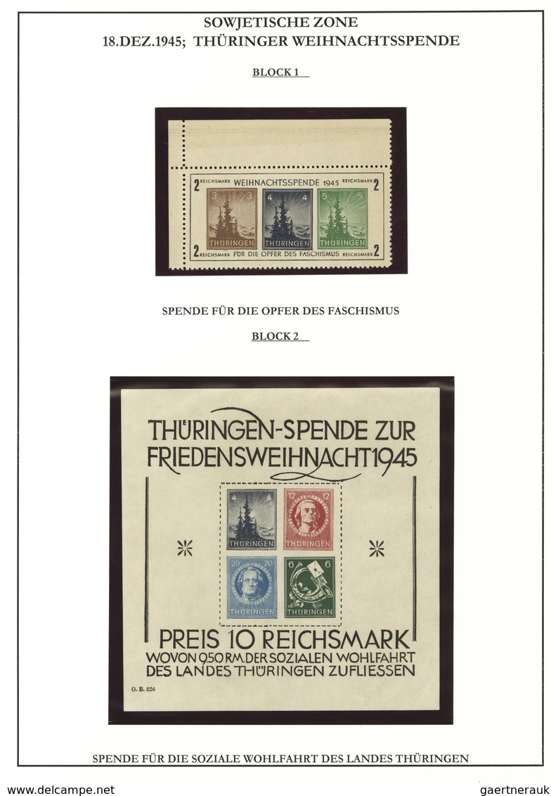 Deutschland: 1930-1962, Block Ausgaben, Zumeist Postfrische Blöcke Ab Iposta, Nothilfe 1933, Besetzu - Verzamelingen