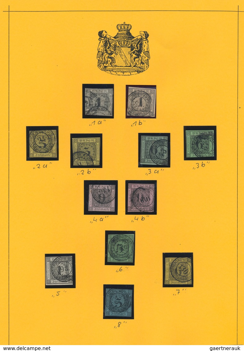 Baden - Marken Und Briefe: 1819/1905 (ca.), Meist Gestempelte Sammlung Auf über 40 Selbstgestalteten - Andere & Zonder Classificatie