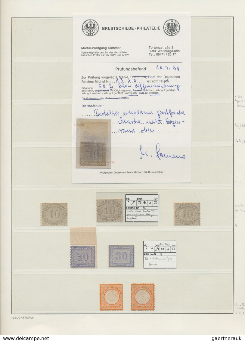 Deutsches Reich - Brustschild: 1872, Schöne Ungebrauchte Restsammlung Kleiner Schild Ab ¼ Gr. Bis In - Colecciones