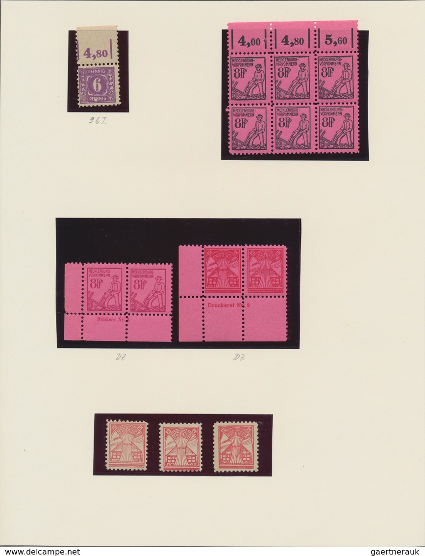 Sowjetische Zone - Mecklenburg-Vorpommern: 1945/1946, Fast Ausschließlich Postfrische Spezialisierte - Andere & Zonder Classificatie