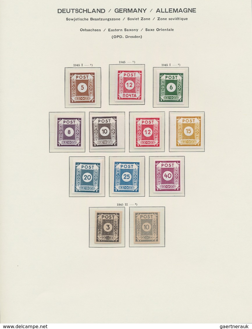 Sowjetische Zone - Ost-Sachsen: 1945/1946, Spezialisierte Postfrische Sammlung Auf Schaubek-Blättern - Otros & Sin Clasificación