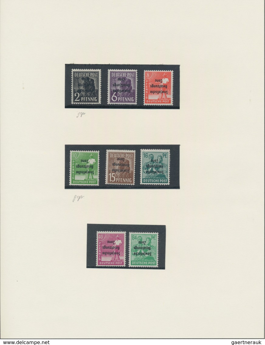 Sowjetische Zone - Allgemeine Ausgaben: 1948/1949, Spezialisierte Postfrische Sammlung Auf Schaubek- - Sonstige & Ohne Zuordnung