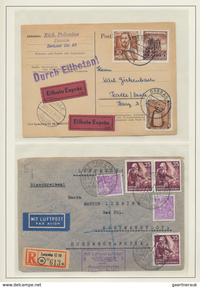 DDR: 1949/1990, Außergewöhnliche Sammlung In Neun Ringalben Sehr Individuell Und Lebhaft Gesammelt M - Collections