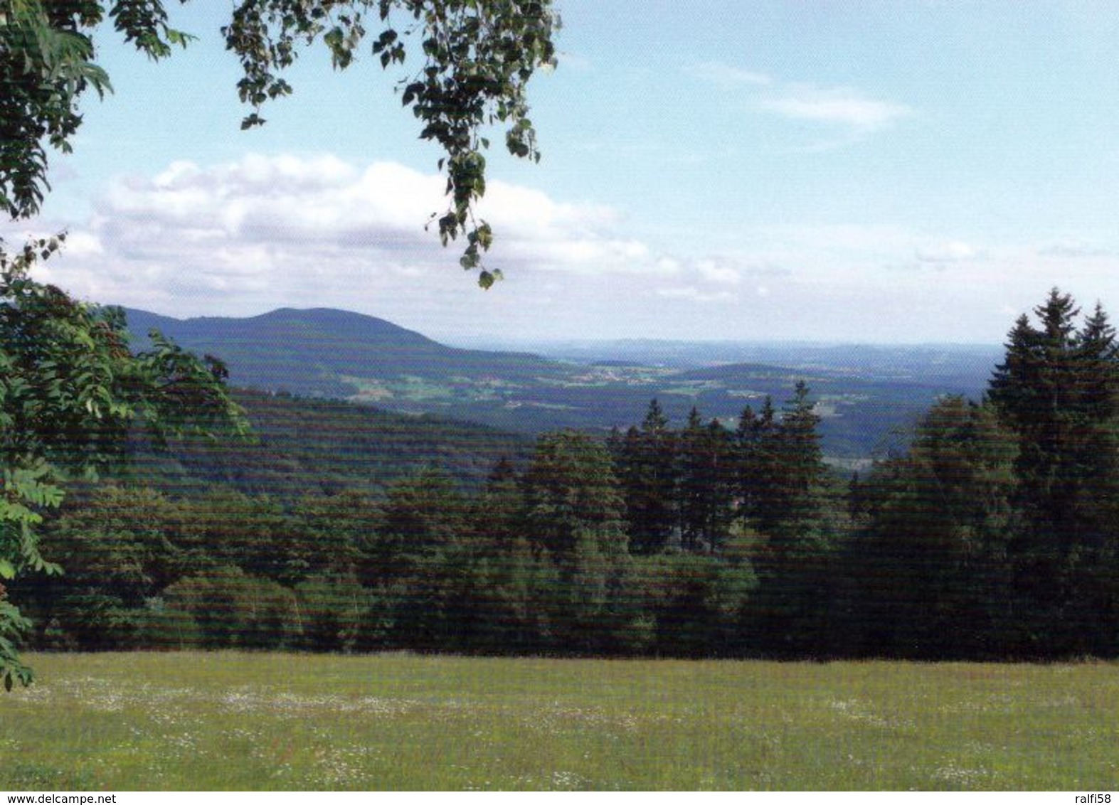 1 Map Of Germany * Landkarte Von Bayern Mit Dem Naturpark Bayerischer Wald - Vorne Eine Landschaft Des Naturparks * - Landkarten