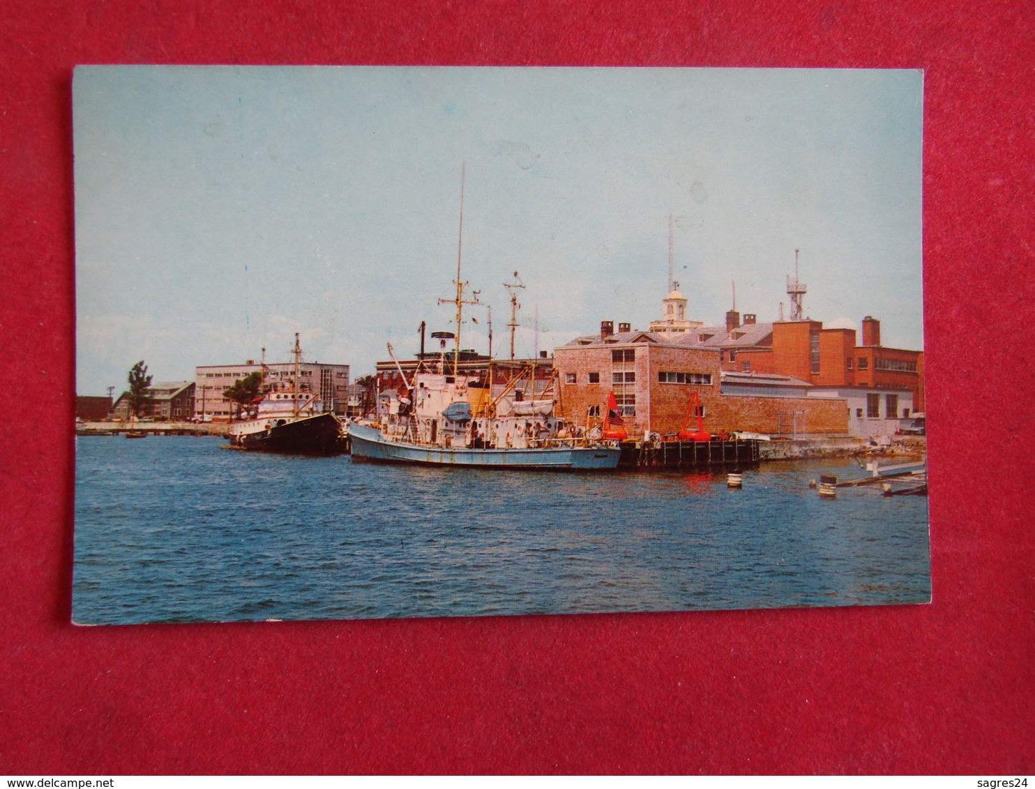 Cape Cod Harbor At Woods Hole - Cape Cod