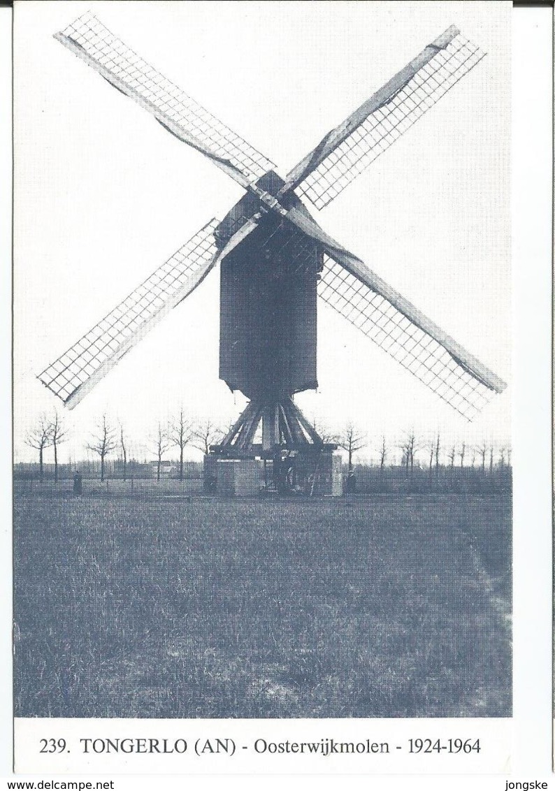 Tongerlo Westerlo Oosterwijkmolen Molen - Westerlo