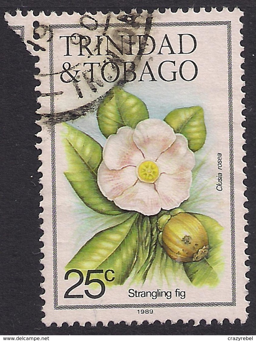 Trinidad & Tobago 1983 - 89 QE2 25ct Strangling Fir Flower SG 690 ( J1447 ) - Trindad & Tobago (1962-...)