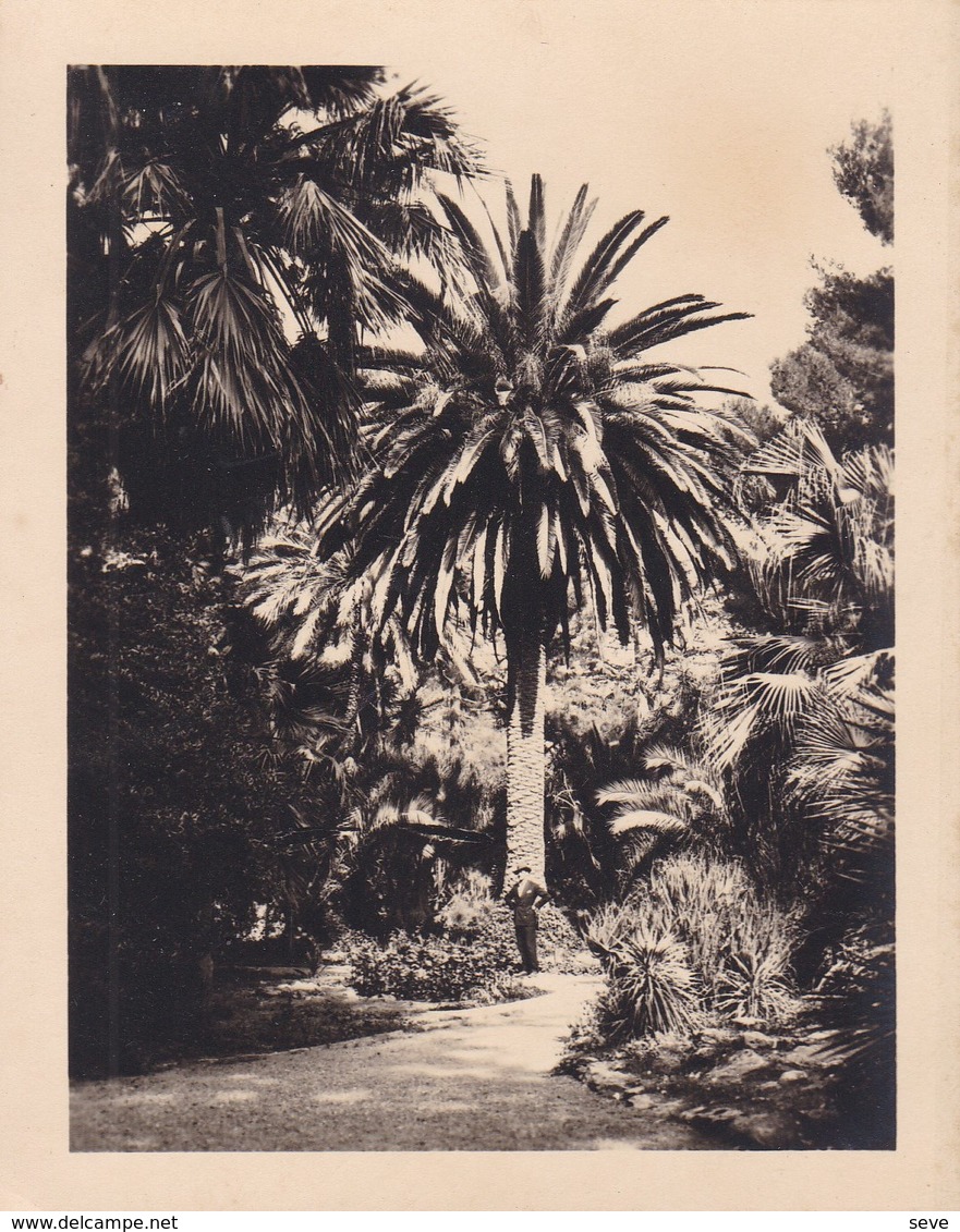 PALERMO PALERME SICILIA Villa TASCA 1926 Photo Amateur Format 7,5 Cm X 5,5 Cm - Luoghi