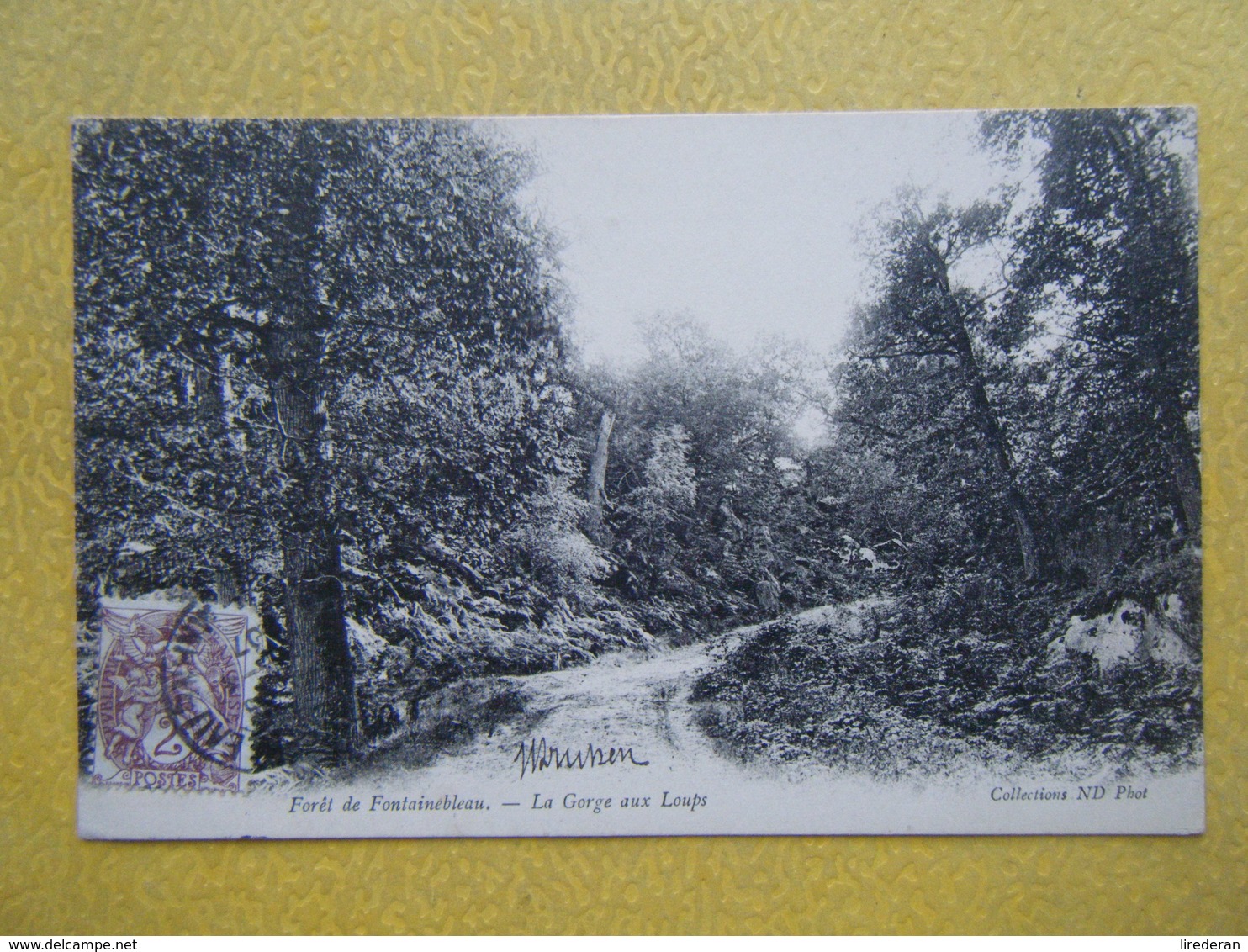 FONTAINEBLEAU. La Forêt. La Gorge Aux Loups. - Fontainebleau