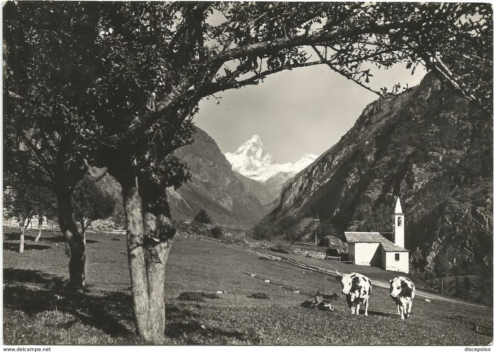 W3412 Antey St. André (Aosta) - Chiesa Di Navillod E Panorama Col Monte Cervino / Viaggiata 1964 - Other & Unclassified