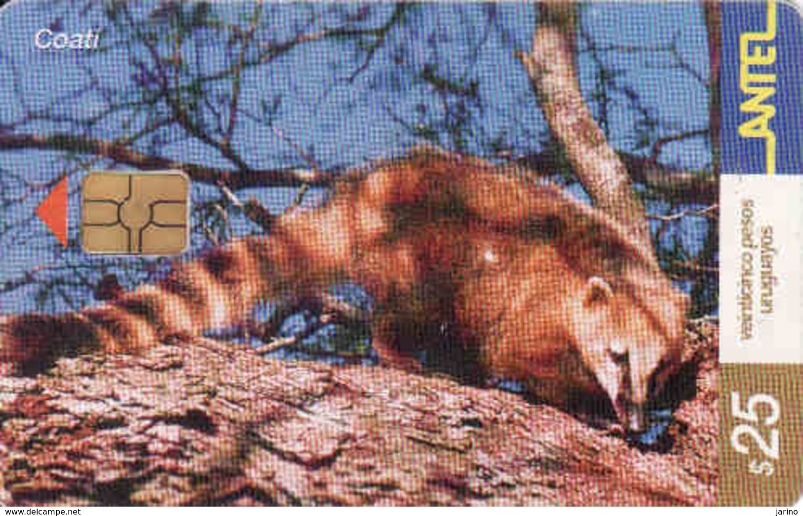 Uruguay, Antel Chip Fauna, Coati - Uruguay