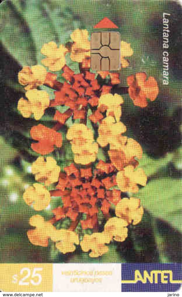 Uruguay, Antel Chip Flora, Lantana - Uruguay