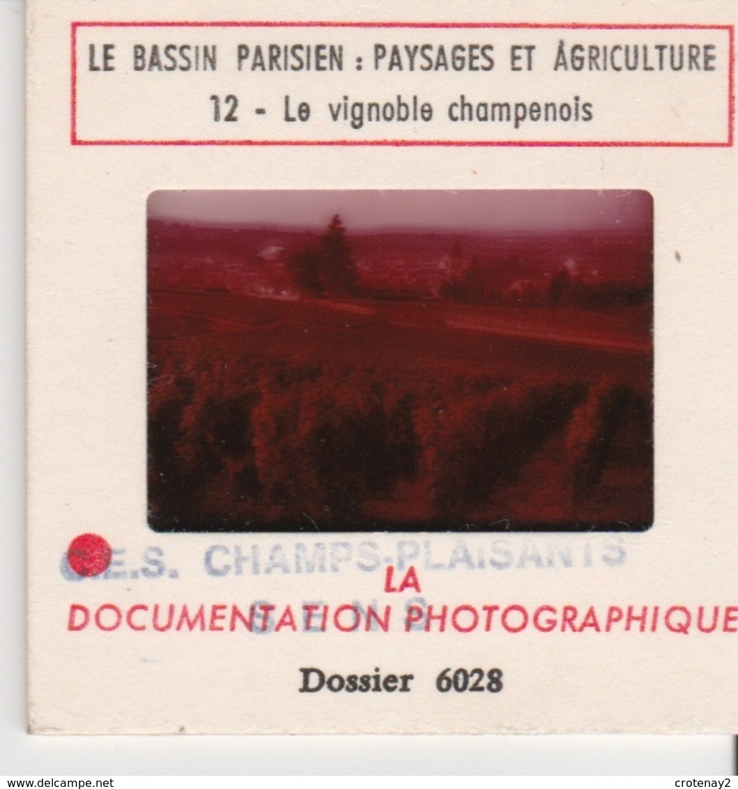 Photo Diapo Diapositive Slide Bassin Parisien Paysage & Agriculture N°12 Vignoble Champenois OGER Vers Epernay En 1963 - Diapositives (slides)