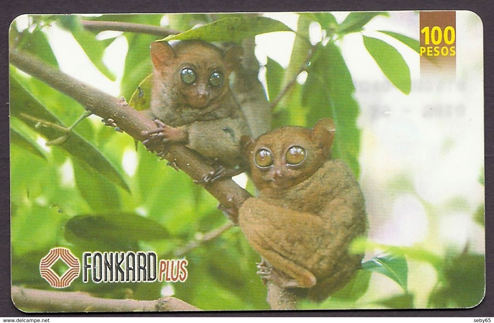 Philippines - Tarsier, Wild Animals, Smallest Monkey Of The World, Used Phonecard - Filippine