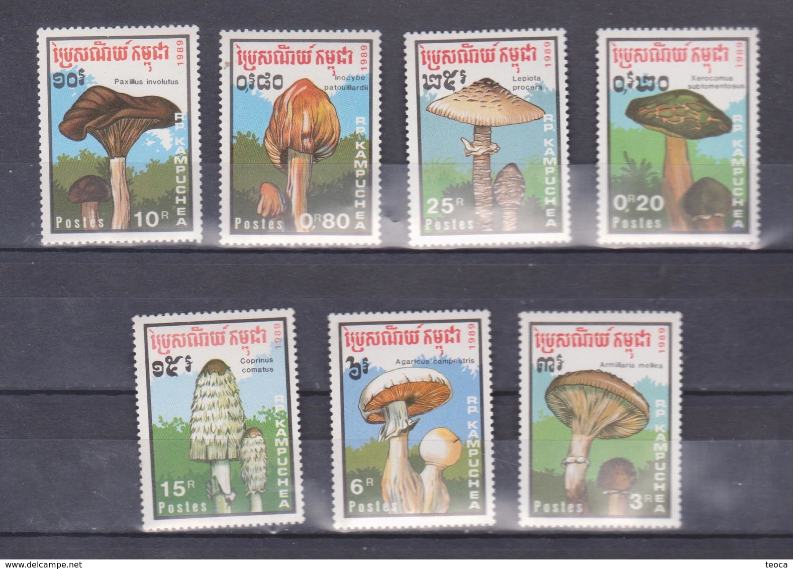 MUSHROOMS CAMBODIA 1989 SET 7v, MNH - Cambodge