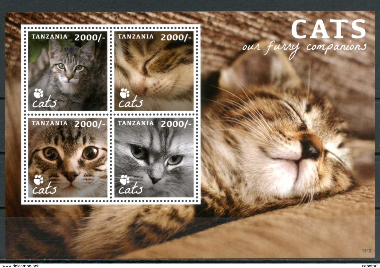 TANZANIA 2013** - Gatti / Cats - Block Di 4 Val. MNH, Come Da Scansione. - Gatti