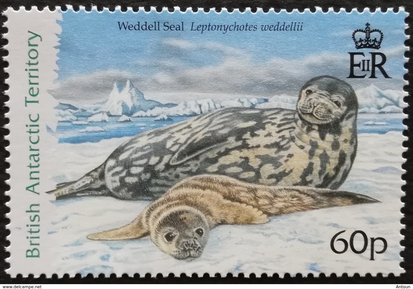 British Antarctic Territory 2005 Seals - Oceania (Other)