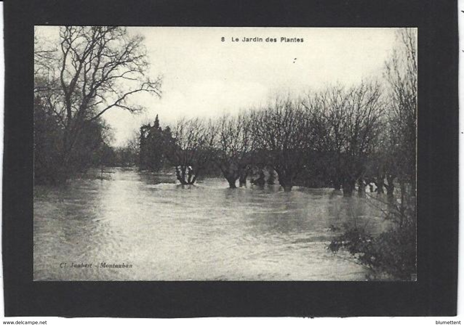 CPA Tarn Et Garonne 82 Non Circulé Montauban Catastrophe Inondation - Montauban