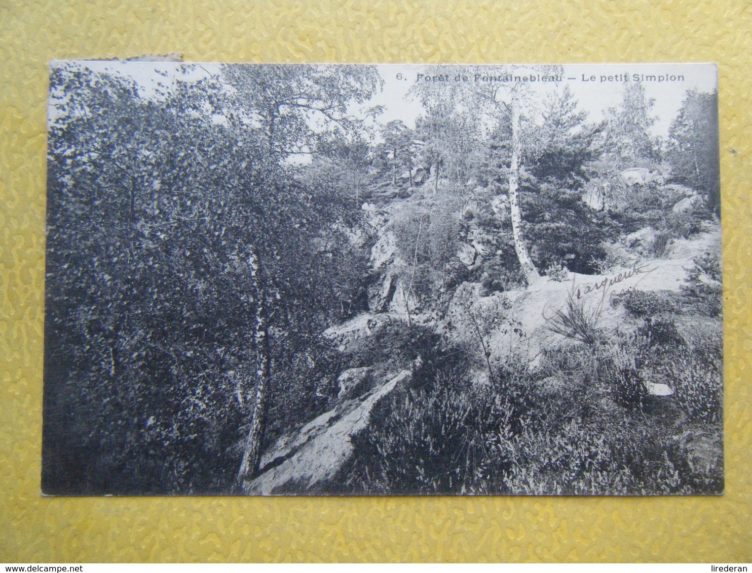 FONTAINEBLEAU. La Forêt. Le Petit Simplon. - Fontainebleau