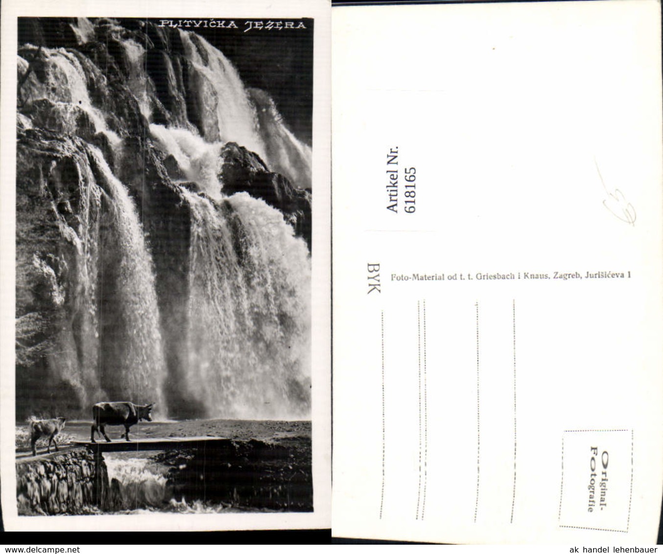 618165,Foto Ak Plitvicka Jezera Wasserfall K&uuml;he Rinder Plitvicer Seen Croatia - Kroatien