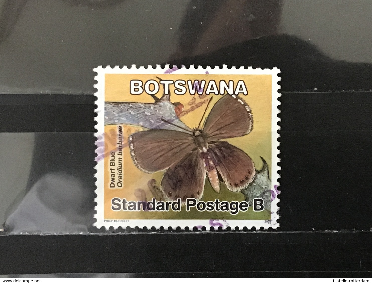 Botswana - Vlinders (B) 2007 - Botswana (1966-...)