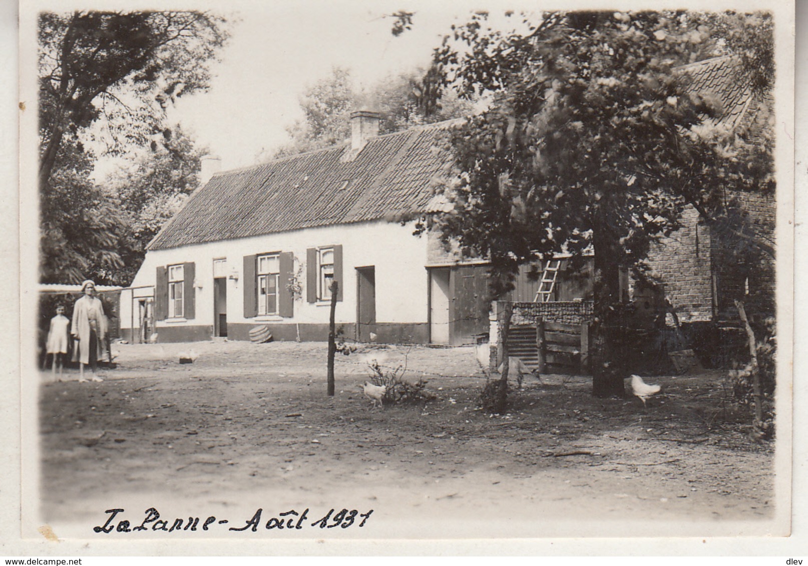 De Panne - Te Situeren - 1931 - Foto 6 X 8.5 Cm - Lieux