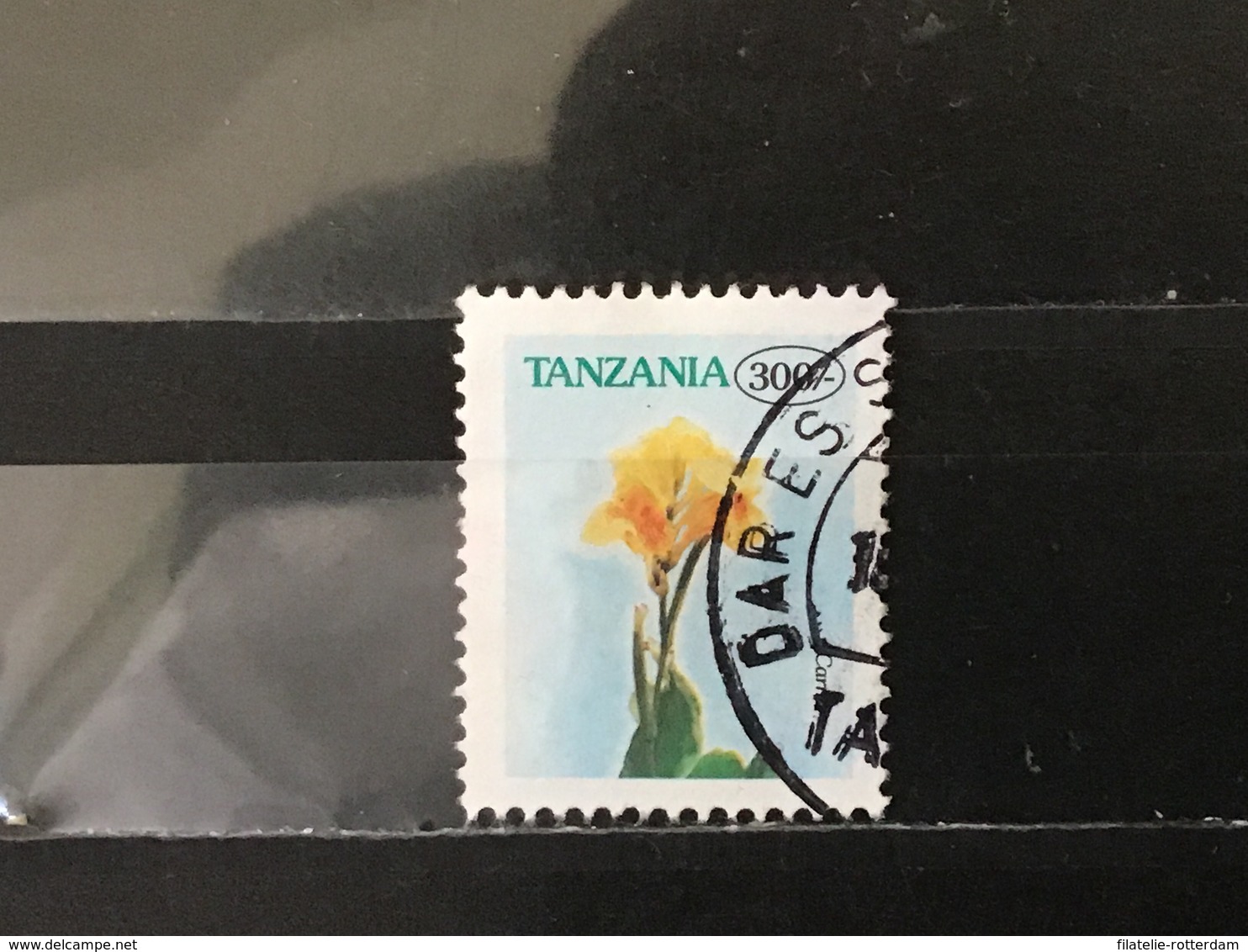 Tanzania - Bloemen (300) 1996 - Tanzania (1964-...)