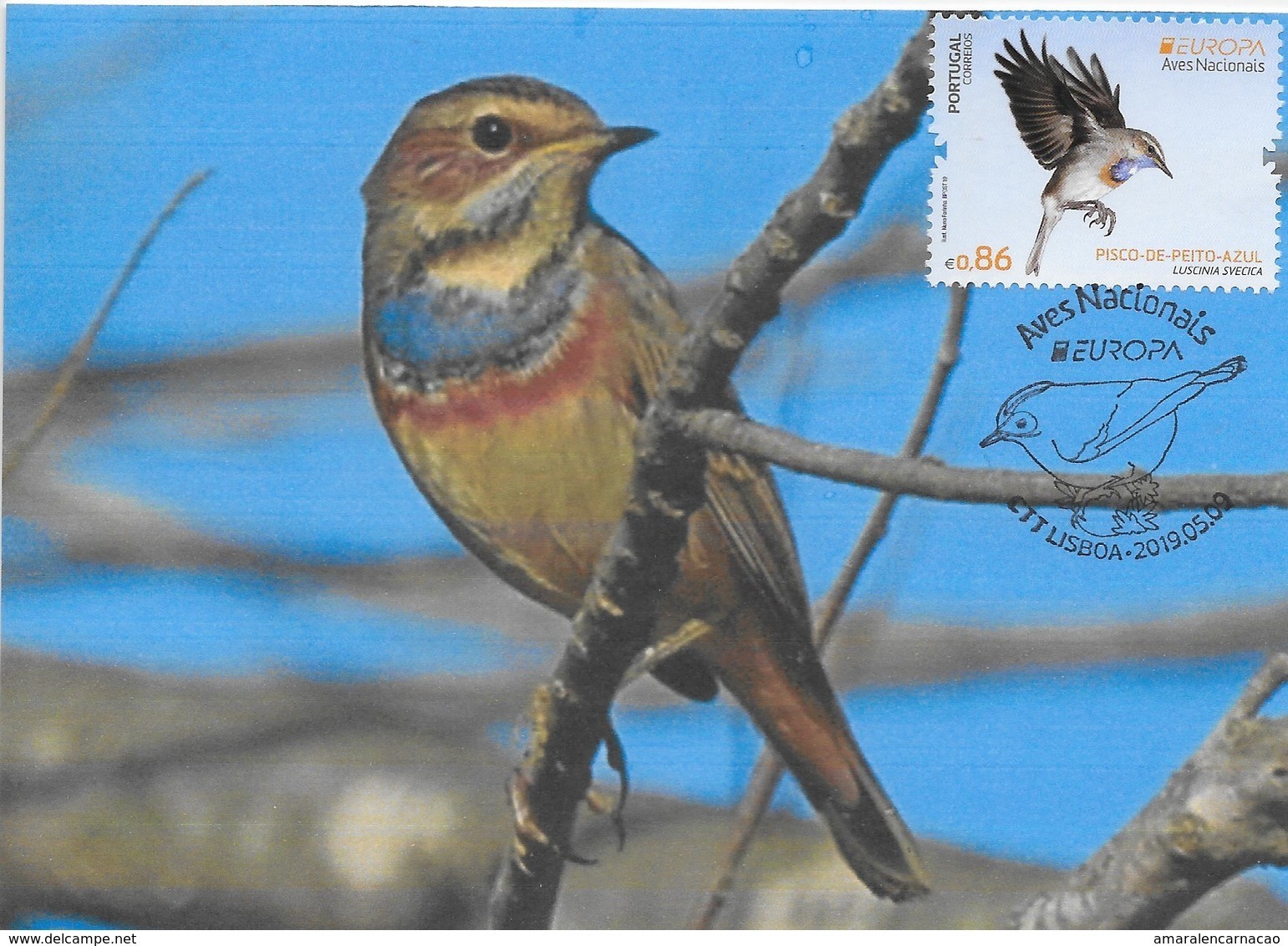 CARTE MAXIMUM - MAXICARD - MAXIMUM CARD - PORTUGAL - EUROPE 2019 - OISEAUX - PISCO-DE-BROWN-BLEU - Luscinia Svecico - Songbirds & Tree Dwellers