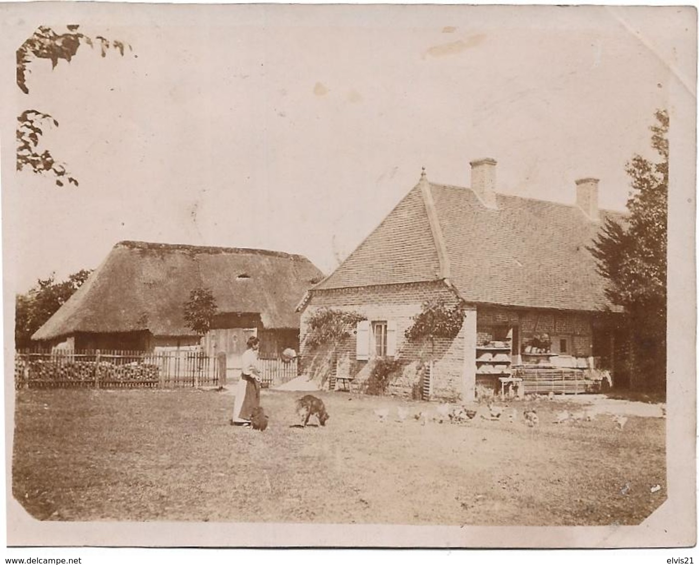 Petite Photo LE GRAND BOIS COMMENAILLES ? JURA - Autres & Non Classés