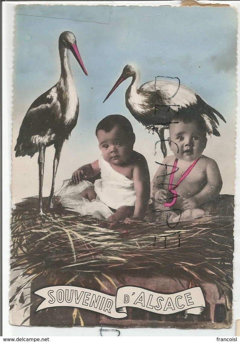 Souvenir D'Alsace. Deux Enfants Dans Un Nid De Cigogne. Montage Photographique. - Souvenir De...