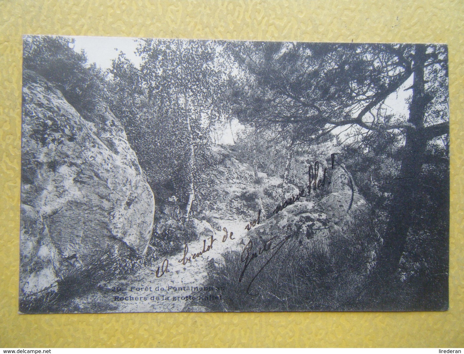 FONTAINEBLEAU. La Forêt. Les Rochers De La Grotte Raffet. - Fontainebleau