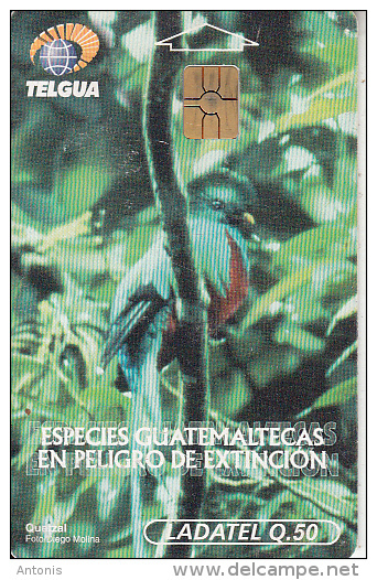GUATEMALA - Bird, Animals Of Guatemala/Quetzal, Chip GEM3.3, Used - Guatemala